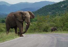 Kruger National Park