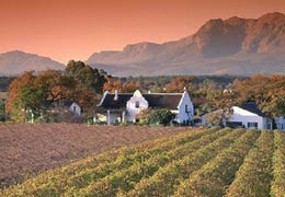 Wine Route